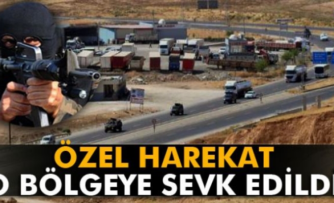 Şırnak'a çok sayıda zırhlı araç ve polis sevkiyatı