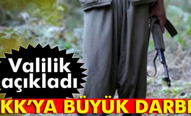 Şırnak'ta 15 PKK'lı etkisiz hale getirildi
