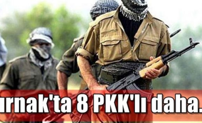 Şırnak'ta 8 PKK'lı daha...