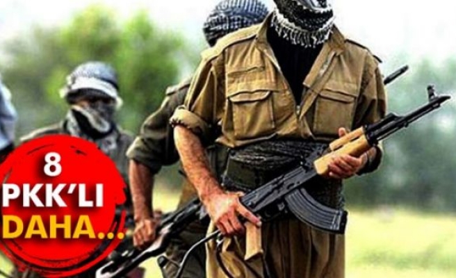 Şırnak'ta 8 PKK'lı daha teslim oldu