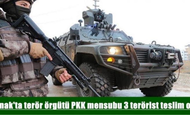 Şırnak'ta terör örgütü PKK mensubu 3 terörist teslim oldu
