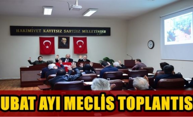 ŞUBAT AYI MECLİS TOPLANTISI