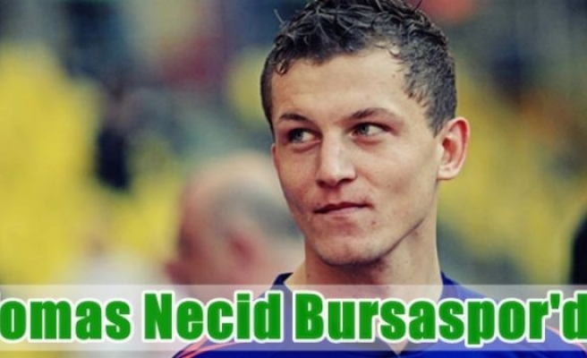 Tomas Necid Bursaspor'da