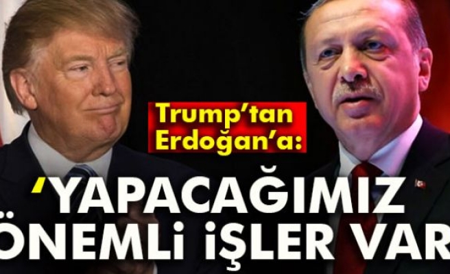 Trump-Erdoğan Görüşmesi! PKK İle Mücadelede...