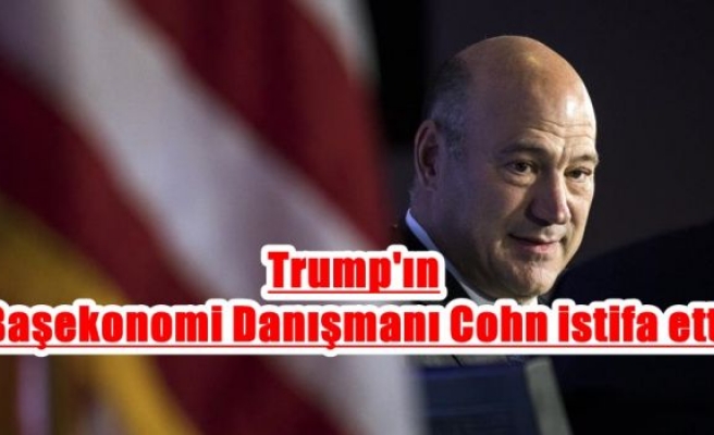 Trump'ın Başekonomi Danışmanı Cohn istifa etti