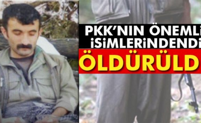 Tunceli'de PKK'nın sözde Özel Güç Sorumlusu öldürüldü