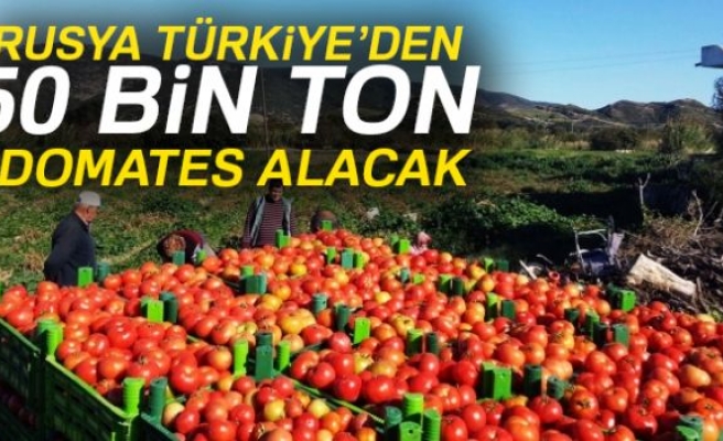  Türk domatesi açıklaması