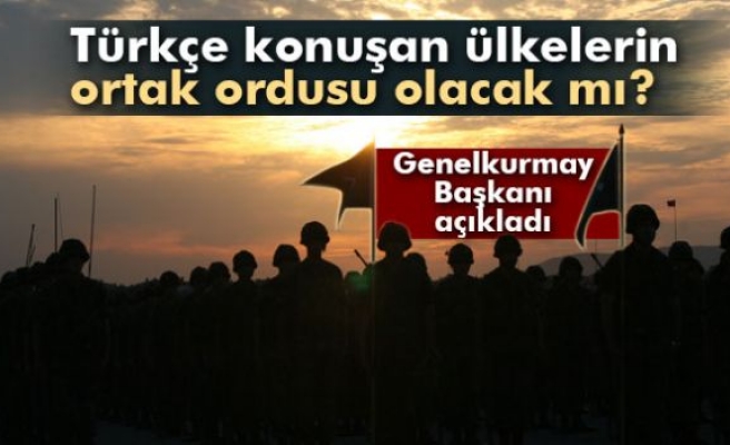 'Türkçe konuşan ülkelerin ortak ordusu olacak mı?'