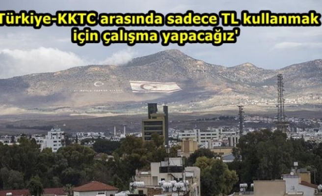 'Türkiye-KKTC arasında sadece TL kullanmak için çalışma yapacağız'