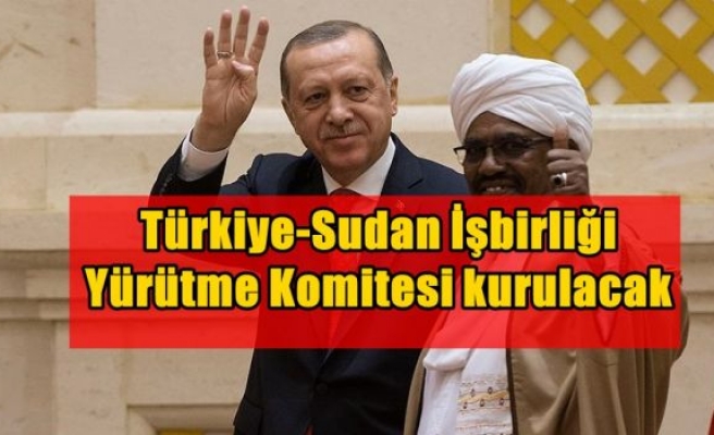 Türkiye-Sudan İşbirliği Yürütme Komitesi kurulacak