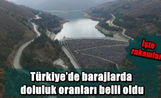 Türkiye’de barajlarda doluluk oranları belli oldu