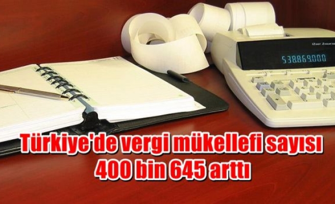 Türkiye'de vergi mükellefi sayısı 400 bin 645 arttı