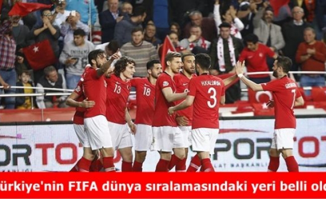 Türkiye'nin FIFA dünya sıralamasındaki yeri belli oldu