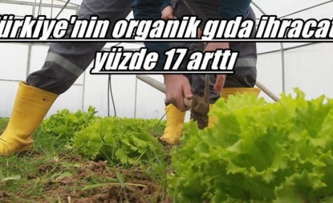 Türkiye'nin organik gıda ihracatı yüzde 17 arttı