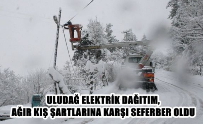 Uludağ Elektrik Dağıtım, ağır kış şartlarına karşı seferber oldu