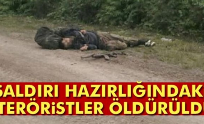Van'da saldırı hazırlığındaki 2 PKK'lı terörist öldürüldü