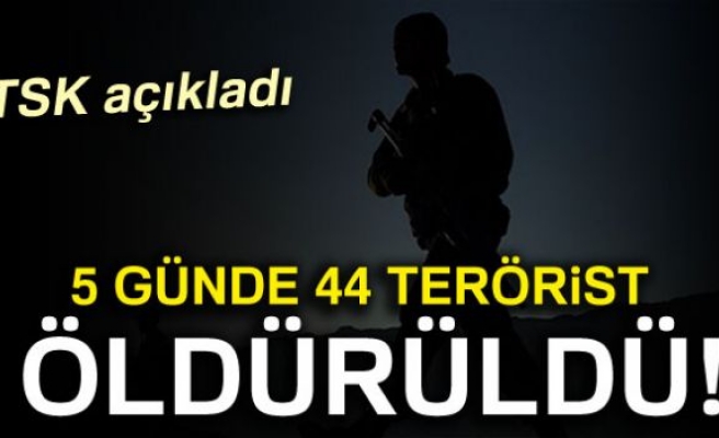 Zap'ta 5 günde 44 terörist öldürüldü!