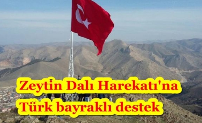 Zeytin Dalı Harekatı'na Türk bayraklı destek