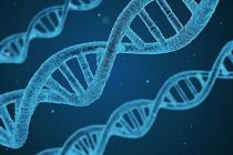 Uludağ Üniversitesi'nde erkek kısırlığıyla ilişkili yeni bir gen tanımlandı