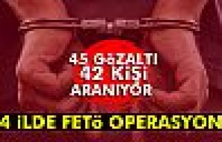14 ilde FETÖ/PDY operasyonu: 45 gözaltı