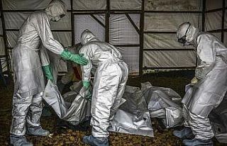 Kongo Demokratik Cumhuriyeti'nde Ebola alarmı sürüyor
