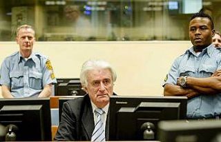 'Bosna Kasabı' Karadzic hakim değişikliği istedi
