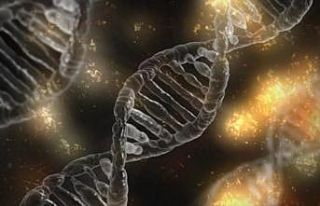 CRISPR ile DNA yerine RNA düzenlenebilecek