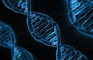 Tüketilen gıdanın DNA'ya 'net' etkileri tespit...