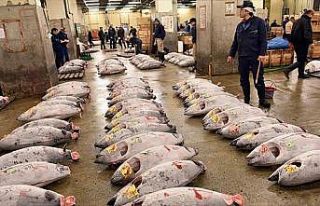 Dünyanın en büyük balık pazarı Tsukiji tarihi...