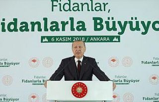 Cumhurbaşkanı Erdoğan: Tabiata bakış açımızı...