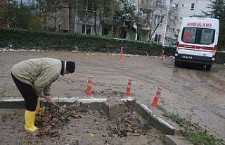 Edirne'de selin ardından temizlik çalışmaları...