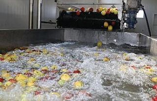 Erzincan'dan 3 kıtaya meyve suyu ihracatı