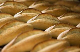TMO Genel Müdürü Güldal: Ekmek fiyatlarında un...