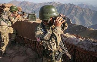 YPG/PKK'ya kasımda ağır darbe