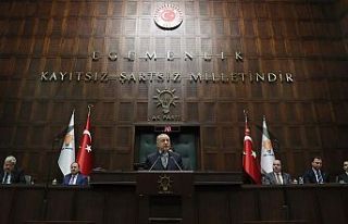 Cumhurbaşkanı Erdoğan: Kürt kardeşlerimiz oyuna...