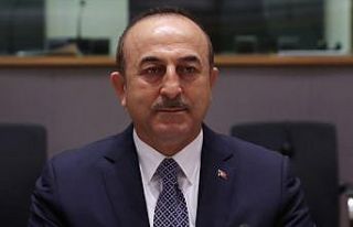 Dışişleri Bakanı Çavuşoğlu: AP'nin sağduyulu...
