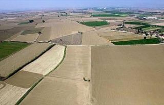 Ege'nin kullanılmayan arazileri tarıma kazandırılıyor