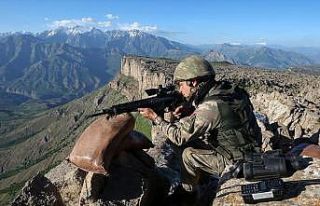 Şırnak'ta iki PKK'lı terörist teslim oldu