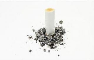 Tütünle mücadeleye 10 yılda 23 milyon denetim