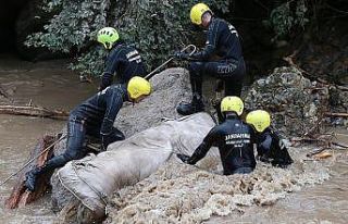 Araklı'daki selde kaybolan 3 kişiyi arama çalışmaları...