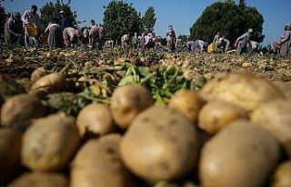 Tarım ve Orman Bakanı Pakdemirli: Türkiye patates...