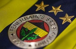 Derrick Willams, Fenerbahçe Beko'da