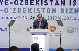 'Özbekistan'da yılın ilk yarısında 225 Türk...