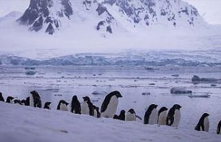 'Sanayileşmenin etkilerinden Antarktika da payını...
