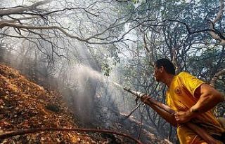 İzmir'deki orman yangınında soğutma çalışmaları...