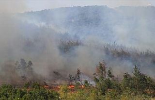 Keşan'daki orman yangını söndürüldü