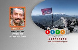 Turuncu kategorideki terörist Ahmet Boyraz etkisiz...