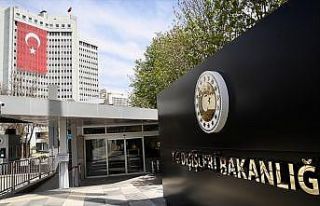 Türkiye'den AP'nin Barış Pınarı Harekatı kararına...