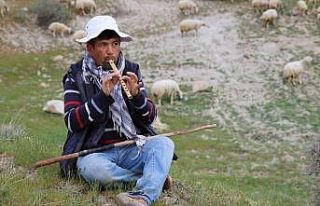 'Afgan çoban getirileceği' iddiasına yalanlama