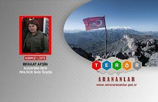 MİT'ten PKK'ya üst düzey darbe